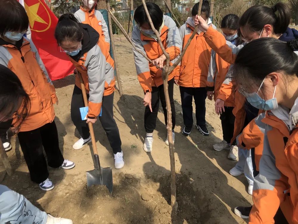 点击查看原始图片