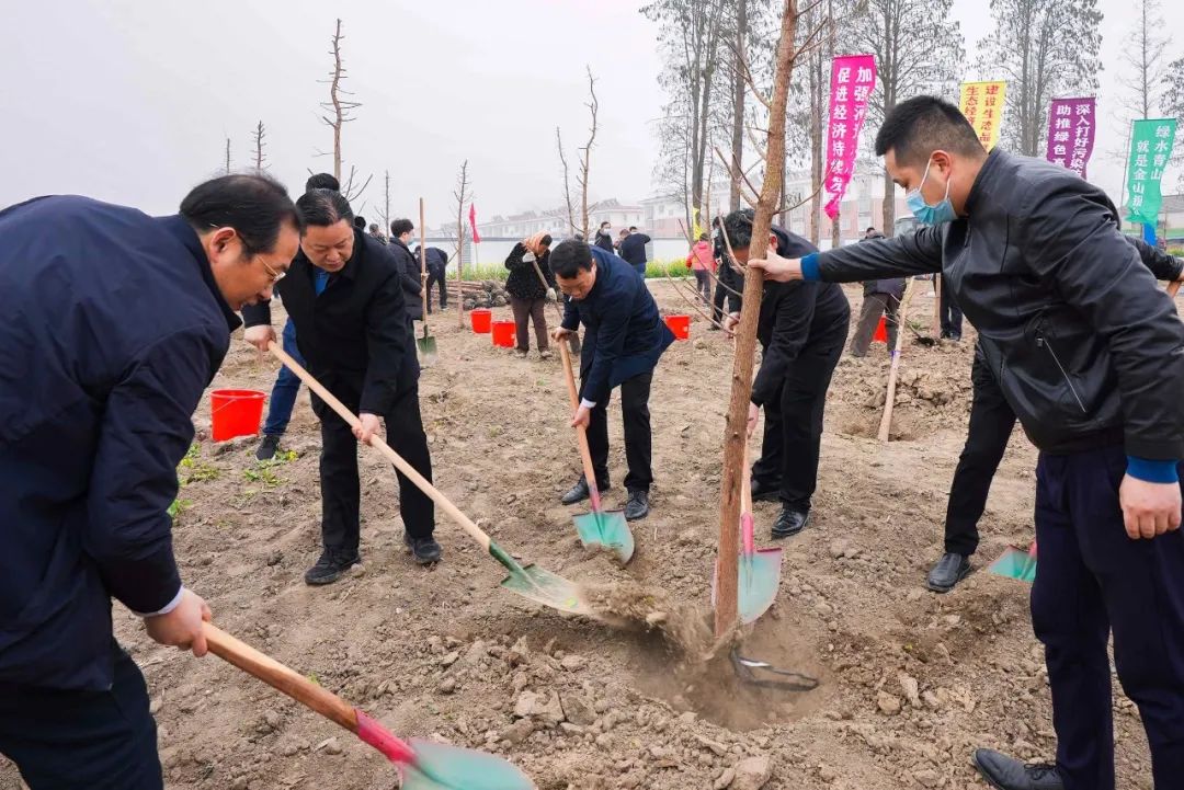 点击查看原始图片