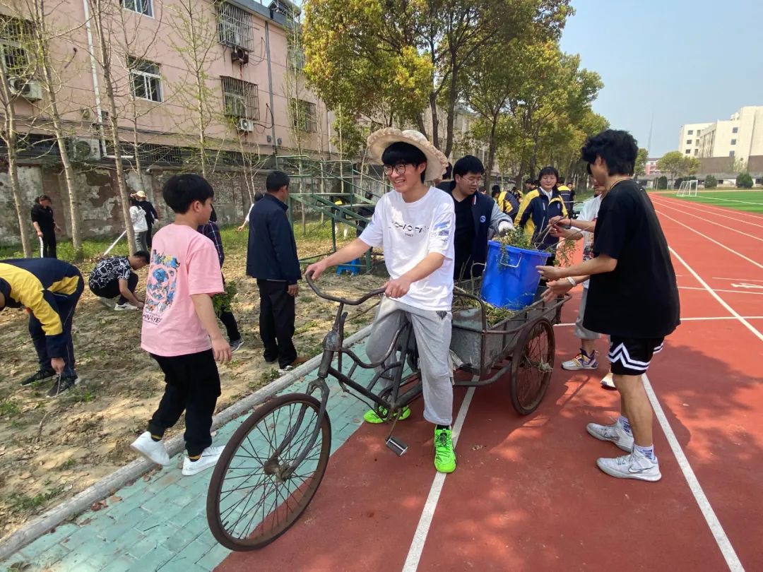 点击查看原始图片