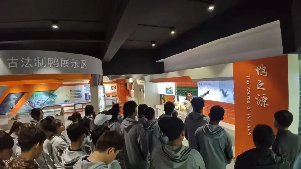 点击查看原始图片