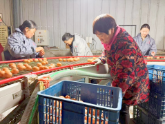 �����ŵ��򣺡����ˡ����ʸ�Ů��