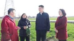 ������ר����д���ũҵ��������