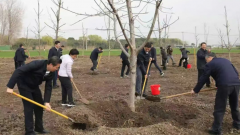 ���쵼�μ�����ֲ���