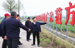 ���ߣ���ģ��������æ