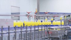 ������⣺���������ƶ���������